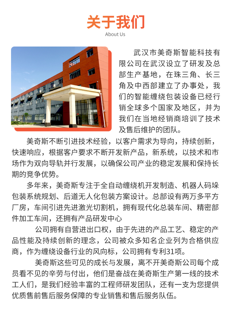 MP303 全自動轉(zhuǎn)臺在線式纏繞包裝機(圖8)